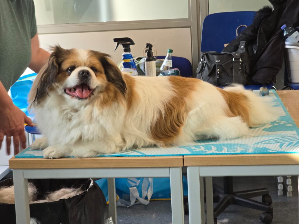 whatsapp image 2026 02 04 at 13.50.51