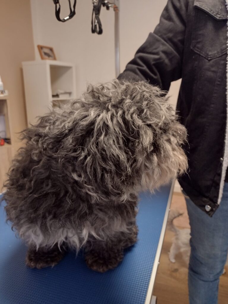 whatsapp image 2026 02 04 at 16.08.40