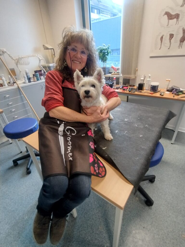 hundefriseur2026 5