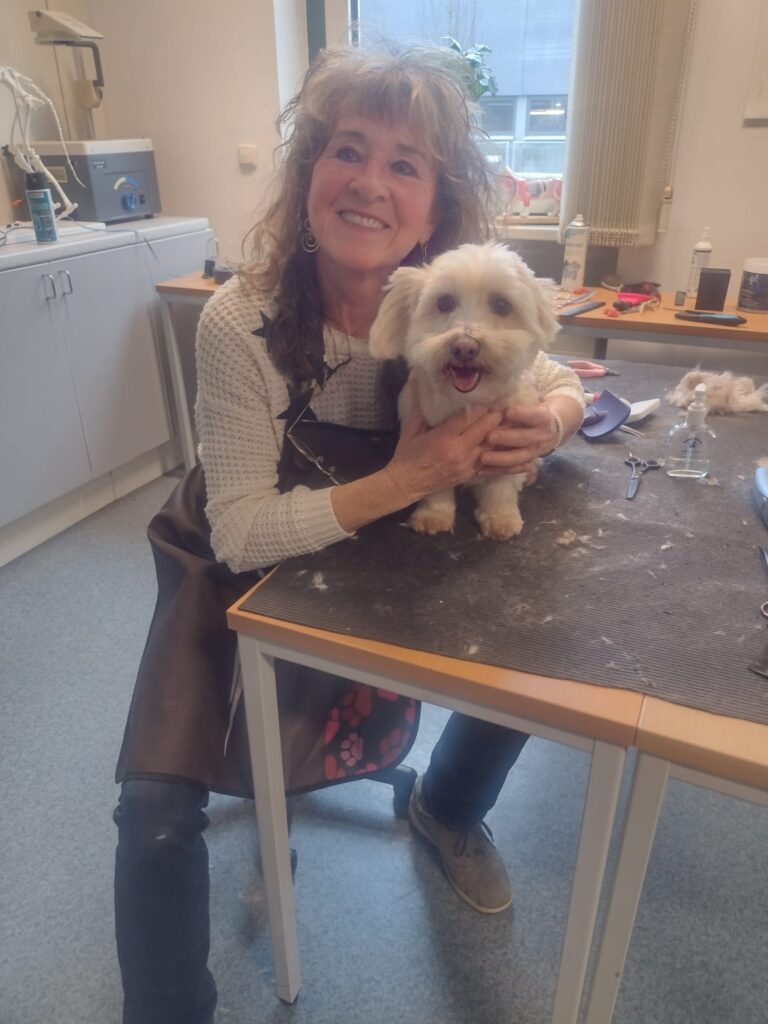 hundefriseur2026 cham