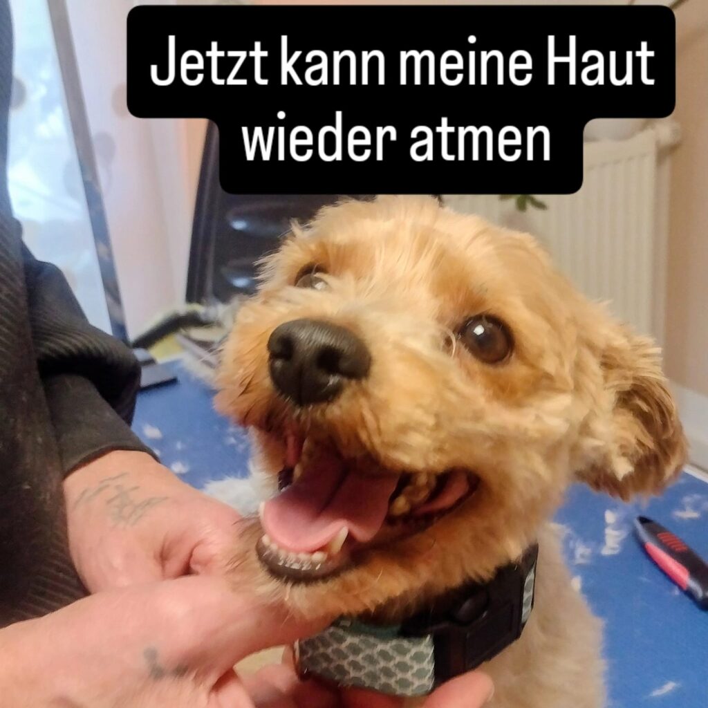 whatsapp image 2026 06 27 at 13.51.02